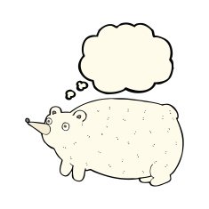 funny cartoon bear with thought bubble N24