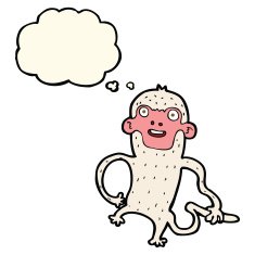 cartoon monkey with thought bubble N23