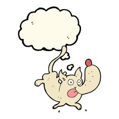 cartoon funny dog with thought bubble N7