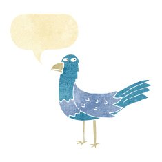 cartoon bird with speech bubble N5