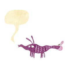 cartoon shrimp with speech bubble