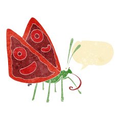 cartoon funny butterfly with speech bubble