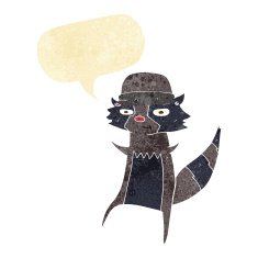 cartoon raccoon with speech bubble