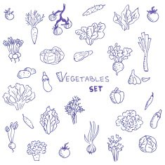 Big set of liner pen hand-drawn sketchy vegetables