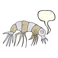 cartoon shrimp with speech bubble N9