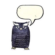 Cartoon owl with speech bubble N20
