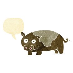 cartoon pig with speech bubble N2