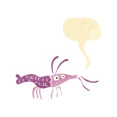 cartoon shrimp with speech bubble N6