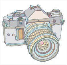 Vintage old photo camera N2