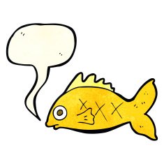 cartoon fish with speech bubble N16