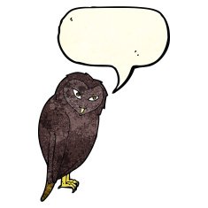 Cartoon owl with speech bubble N15
