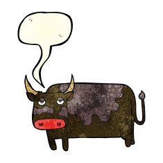 cartoon cow with speech bubble N12