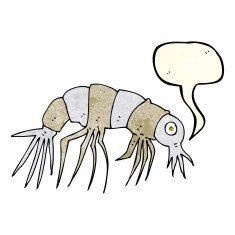 cartoon shrimp with speech bubble N9