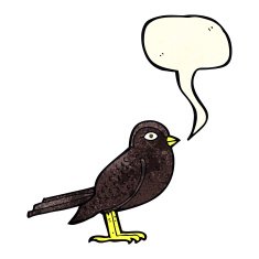 cartoon garden bird with speech bubble N14