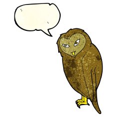 Cartoon owl with speech bubble N17