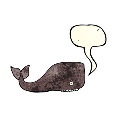 cartoon whale with speech bubble N12