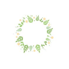 Frame with leaves and apricots Vector template for design