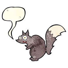 funny startled squirrel cartoon with speech bubble N2