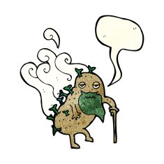 cartoon old potato with speech bubble N4