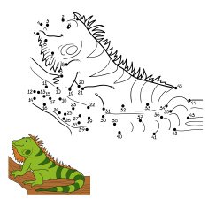 Numbers game (iguana)