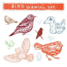 Set of handdrawn birds N2