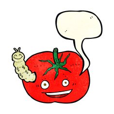 cartoon tomato with bug speech bubble N2