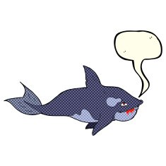 cartoon killer whale with speech bubble N5