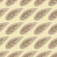 Feather Pattern in Beige