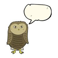 Cartoon owl with speech bubble N44