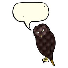 Cartoon owl with speech bubble N31
