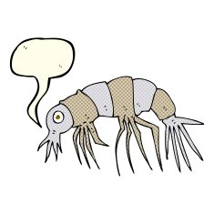 cartoon shrimp with speech bubble N16