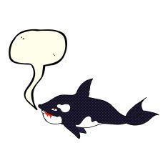 cartoon killer whale with speech bubble N6