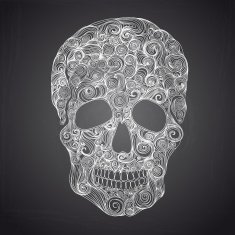 Vector illustration with Hand Drawn Skull N2