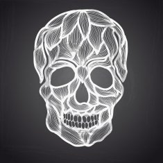 Vector illustration with Hand Drawn Skull N3