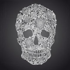Vector illustration with Hand Drawn Skull N4