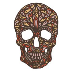 Vector illustration with Hand Drawn Skull N5