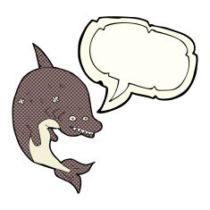 cartoon shark with speech bubble N24