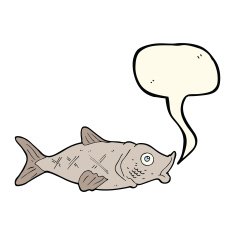 cartoon fish with speech bubble N50
