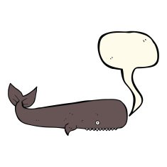 cartoon whale with speech bubble N24
