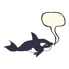 cartoon killer whale with speech bubble N8