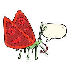 cartoon funny butterfly with speech bubble N8