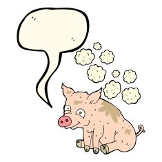 cartoon smelly pig with speech bubble N3
