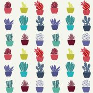 pattern of cactus house plants in pots
