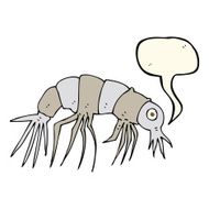 cartoon shrimp with speech bubble N24