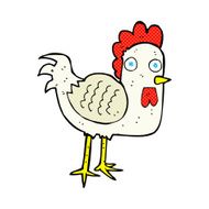 comic cartoon chicken