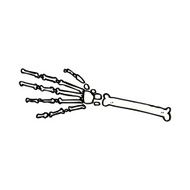 comic cartoon skeleton hand
