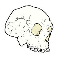 skull illustration