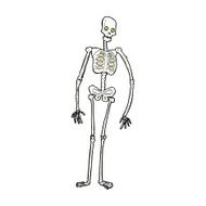 comic cartoon spooky skeleton