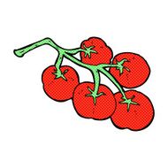 tomatoes on vine illustration