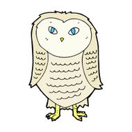 comic cartoon owl N4